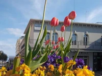 Hotel Ginevra 3*