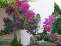 Agriturismo Hibiscus 