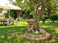 Giardino Studios 2*
