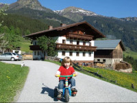Biohof Maurachgut