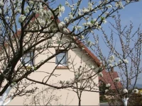 Chambres dHotes Entre Seine et Jardin 