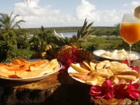Art Jungle Eco Lodge 3*