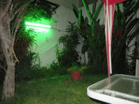 Las Palmeras Inn