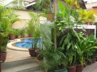 Ancient Angkor Inn 