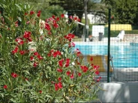 Camping Aquileia 2*