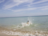 Riva Degli Angeli