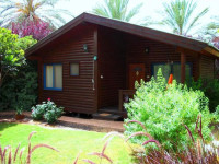 Pine Tree Cabin