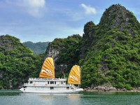 Paradise Privilege Cruise