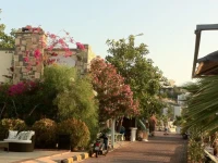 Begonvil Hotel 2*