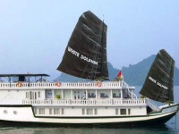 White Dolphin Cruises Halong