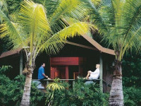 Palm Terrace
