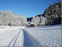 Haus Nagele 2*