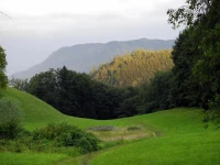 Am Buchberghof 1*