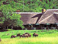Bakubung Bush Lodge