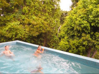 Papillon Coolum