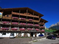 Hotel Alpe 3*