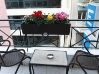 Eva Hotel Athens 1*