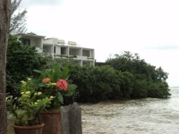 Rio Bueno 3*
