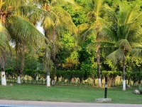 Pantanal Park Hotel 4*