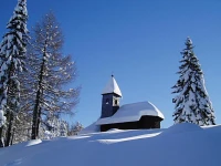 Gastehaus Steiner 1*