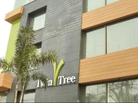 Hotel Twin Tree 3*