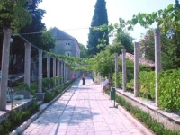 Villa Rasica 3*