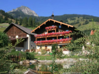 Amosergut