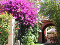 Hostal El Arbol