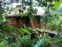 Jasmine Valley 