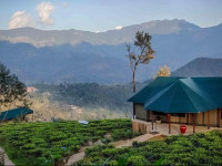 Madulkelle Tea and Eco Lodge