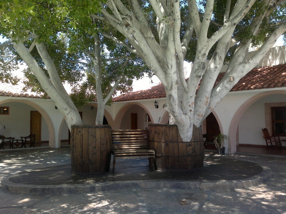 Hotel Mision Catavina 3*