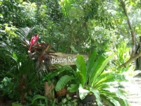 Baan Rim Nam 1*