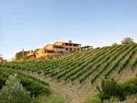 Borgo Filicardo 3*