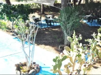 Holiday Eolie Village 3*