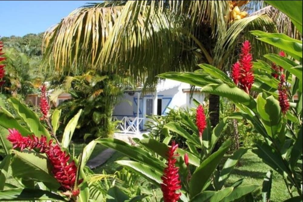 Fleurs des Iles 2*