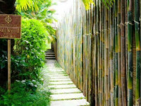 BaliWood Resort