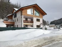 Ferienwohnung Oswald Fuschlsee 1*