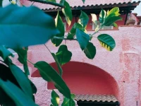 Casa Nicola 2*