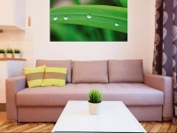 Apartment Faust 3*