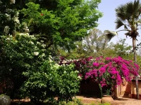 Les Palmiers Hotel Ouagadougou 3*