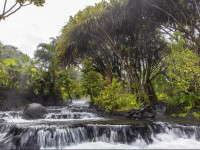 Tabacon Grand Spa Thermal Resort