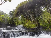Tabacon Grand Spa Thermal Resort 5*