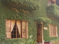 Raintree Lodge 3*
