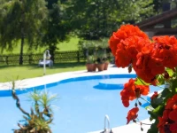 Hotel Haflingerhof 3*