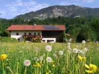 Ferienappartements Meixner 1*