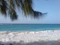 Silver Sands