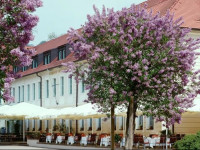 Schloss Hotel Dresden Pillnitz