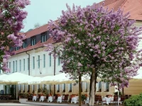 Schloss Hotel Dresden Pillnitz 4*