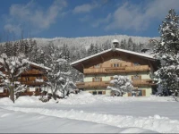 Hotel Garni Wieshof 3*