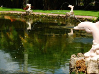 Rock Lake Resort